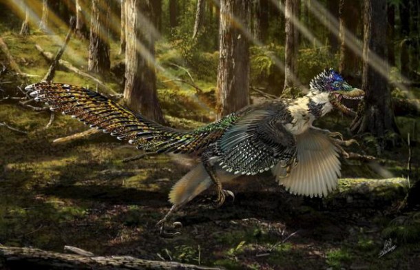 %name Newly discovered dinosaur rightly nicknamed the ‘fluffy feathered poodle from hell’ by Authcom, Nova Scotia\s Internet and Computing Solutions Provider in Kentville, Annapolis Valley